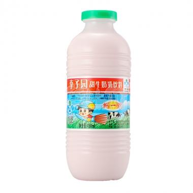 李子园原味牛奶乳饮料450ml/瓶