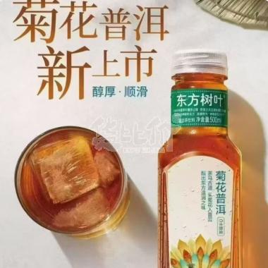 农夫山泉东方树叶菊花普洱500ml/瓶